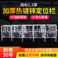 耐尔尼母猪定位栏猪用限位栏育肥猪产床 5位10位带食槽漏粪板 养猪设备 2.5热镀 欧式加宽（母猪位70cm）带槽10位
