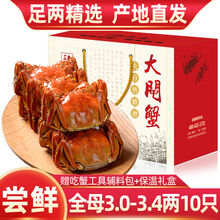 【10只装】大闸蟹全公母六月黄螃蟹镇海鲜水产生鲜 全母蟹：3.0-3.4两(10只)