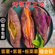 【顺丰速运】红薯组合新鲜农家番薯地瓜板栗薯紫薯沙地烟薯25号糖心红黄心蜜薯【坏果包赔】 5斤 中果