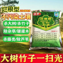 环嗪酮杀树王除树剂大树杀竹子专用药杀树烂根注射杀树大竹除草剂 5袋