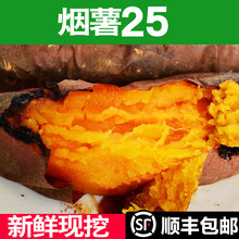 地瓜红薯蜜薯糖心沙地薯烟署25黄心山芋番薯新鲜蔬菜3斤5斤 【正宗】5斤大果
