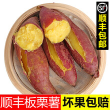 【顺丰】新鲜蜜薯农家板栗薯山东黄心地瓜糖心小番薯沙地红薯顺丰 5斤严选黄心板栗薯【粉糯香甜】顺丰