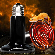 HIDOM 乌龟晒背灯 灯泡 爬虫灯 宠物保暖灯 爬宠灯 刺猬鹦鹉蛇蜥蜴保温灯 陶瓷加热灯 用品 陶瓷保温灯50W