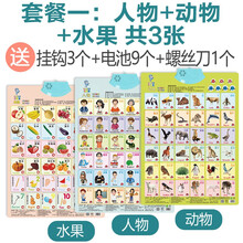 有声挂图启蒙早教全套发声语音数字识字墙贴认知2岁宝宝儿童玩具 套餐一(3张)人物+动物+水果 (启蒙必备)