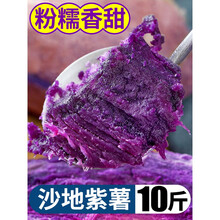 紫薯新鲜番薯地瓜农家10斤香红沙地薯糖心山芋5 10斤 小果