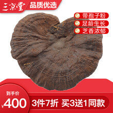 三京堂 长白山黑灵芝整枝 野外生长紫灵芝片林芝茶可搭灵芝孢子粉 250g【精选大枝 带灵芝孢子粉】 黑灵芝