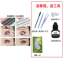 乐哉美妆 鱼尾朵毛网红人鱼嫁接朵毛 嫁接新手初学者种植眼毛浓密自然交叉 一盒鱼尾+一盒仙子毛+嫁接胶水+工具 8mm