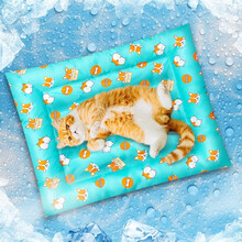 喵先生 宠物冰垫冰窝 狗狗垫子防水夏季降温降暑猫窝狗窝凉席凉垫睡垫泰迪金毛拉布拉多中小型犬宠物垫 卡通款冰窝 S号 66*56（建议8斤内）