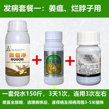 奥力克青枯立克溃腐灵靓果安大蒜油沃丰素果树蔬菜青枯根腐流胶腐烂枯黄萎蔓枯姜瘟茎基腐病农药杀菌剂 烂脖子套餐