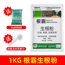 柏斯特快速生根粉植物通用树木扦插发根快生根壮苗剂生根剂生根液 1KG根霸生根粉 量勺 硫酸亚铁