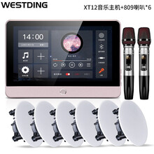威斯汀（WESTDING）XT12智能家庭背景音乐主机系统套装家庭影院音响组合无线蓝牙吸顶音响喇叭 XT12主机+809喇叭×6