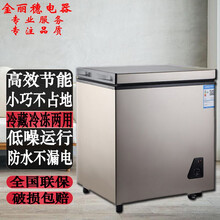 小冰柜家用小型冷冻柜迷你商用大容量冷藏柜双门双温节能 世雅 179-标准款【只换不修】