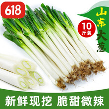 山东章丘大葱新鲜带箱10斤农家自种蔬菜整箱特级铁杆去叶羊角葱5 带箱1.8斤