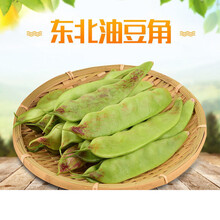 东北特产一点红油豆角新鲜蔬菜现摘面豆角开锅烂豆角 5斤净重油豆角