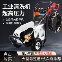 绿霸清洗机商用工业洗车机220v高压商用刷车泵水枪免擦拭剥树皮打根雕喷砂除锈 水枪水泵 3kw220v全自动标配