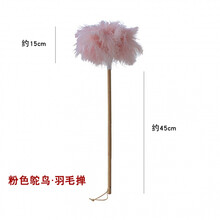 鸵鸟毛掸子 磨山匠人粉色鸵鸟羽毛掸子扫灰静电禅子除尘装饰毯子楠竹手柄鸡毛 粉色鸵鸟掸子一只 拍摄略微有点色差