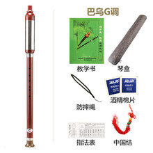 杉贝 SHANBEI 巴乌乐器横吹竖吹小学生成人儿童初学者入门抖音同款 巴乌竖吹G调+六大