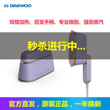 大宇（DAEWOO）挂烫机电熨斗手持蒸汽家用旅游出差便携式大功率小熨斗 挂烫机 灰藕紫 [HI-029-ZI]
