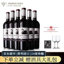 国际	【超市红酒礼盒】智利中央山谷 黑天鹅原瓶进口红酒 14度赤霞珠 女士酒干红葡萄酒  红酒杯 商务送礼 750ml*6瓶