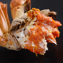 【活鲜】大闸蟹鲜活海鲜水产螃蟹六月黄活体河蟹 塞红康尔 满黄全母(2.5-3.1两)10只