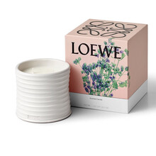 Loewe罗意威家居系列蜡烛甜豌豆番茄叶柏树等 170g牛至