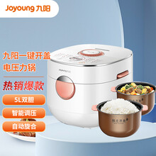 九阳（Joyoung）电压力锅 5L双胆压力煲 自动旋合一键开盖 智能调压全程沸腾Y-50Q801