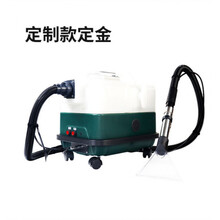 皮谱沙发清洗机 地毯清洗机商用家用小型窗帘布艺沙发多功能三合一喷抽吸干洗一体 定制款