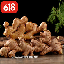 【老姜】正宗云南小黄姜新鲜现挖生姜月子姜黄姜火锅调味料 整块姜 7斤装(净重)