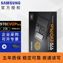 三星（SAMSUNG） 970EVO PLUS/980 M.2接口NVMe协议 SSD固态硬盘 （系统U盘）970EVO PLUS 250G