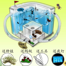 赟娅蚂蚁工坊别墅家园新奇特蚂蚁城堡生态学生蚁巢庄园种草养蚂蚁观察益智玩具创意礼物礼品 蓝色蚂蚁城堡【30只蚁+管道+种植+滴管+镊子】