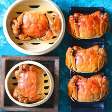 大闸蟹鲜活现货六月黄特大公母蟹活体3.5-1.3两螃蟹河蟹 2.0-2.5两16只(六月黄)