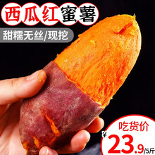 红心西瓜红红薯新鲜现挖沙地糖心蜜薯地瓜普薯32号粉糯香甜当季时令3/5/10斤 3斤小果【尝鲜装】