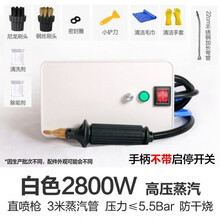 蒸汽清洁机高温高压一体机家用空调商用油烟机家电清洗多功能工具旦榄 白色 2800w电控枪