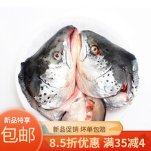 虹鳟三文鱼头鱼头超大冰鲜海鲜水产鲜活烧烤炖汤食材鱼头 8只实惠装(90客户购买) 单只200-250克