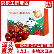 爱心东东	
车厘子樱桃【JD/顺丰-多地次日达】国产美早车厘子水果送礼 1000g礼盒装【价低冲量】 果王5JJJJJ级34mm+【蕞多人买】
