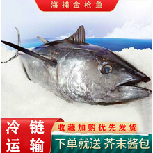 金枪鱼新鲜速冻整条可刺身生鱼片料理食材金枪鱼块生鲜  纯曼郎帝 55-60斤