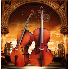 手工大提琴儿童初学者入门练习乐器大提琴低音学生用 亚光2/4适合身高135左右