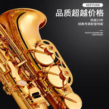 【六一儿童节甄选礼物】降E调中音萨克斯风管乐器初学者考级演奏乐队教学WH 【电泳金】升级箱包+法国笛头