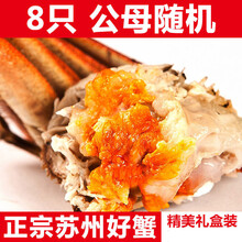 活鲜【冷链运输】大闸蟹鲜活 螃蟹特大公母 现货海鲜镇8 /16只礼盒装 欧登城娜 【公母3.0-2.5两】8只