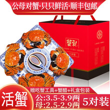 【活蟹】【公母对蟹】阳澄西湖大闸蟹鲜活现货生鲜螃蟹类海鲜水产礼盒装 公：3.5两+母：2.5两（5对）