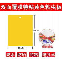 溪沫 双面加厚特粘诱虫蓝板粘虫板黄板果园茶园大棚家用等灭多种小飞虫 20张双面覆膜加厚特粘黄色15x20