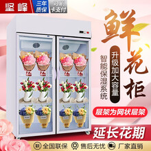 坚峰 鲜花保鲜柜 立式冰柜 风冷保鲜柜商用冰箱双门三门花店冷藏柜风冷绿植展示柜陈列柜鲜花植物展示柜 1.5米双门上置豪华象牙白【一面玻璃】