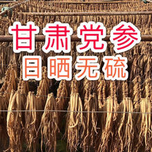 【自己家党参】正宗甘肃党参500g无硫无加工干货20g/500g 无硫甘肃党参中大条500g