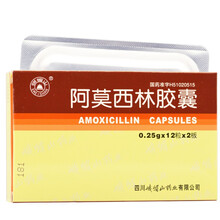 峨眉山 阿莫西林胶囊 24s*0.25g 1盒装