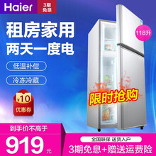 海尔（Haier）冰箱小型家用双开门3门 迷你多容量保鲜冷藏冷冻 节能省电速冷租房宿舍嵌入式冰箱 租房宿舍办公室冷冻保鲜两门 【118升冰箱】