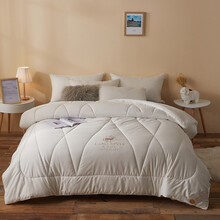 费汀格家纺 深眠软黄金冬被被子被芯羊绒被床上用品 白色 200*230cm春秋被5.2斤