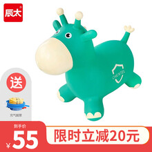 辰太儿童跳跳马加厚大号卡通户外健身充气玩具摇摇马幻想跳跳侠2-3-4-5-岁宝宝卡通坐骑感 统训练 跳跳利奇绿色精灵