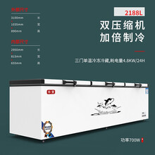 华雯卧式冰箱冷柜大冰柜冷藏冷冻单温双压缩机商用大容量冰柜 2188双压缩机3100*1035*890