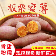 山东板栗蜜薯沙地红蜜薯3/5斤红心地瓜新鲜板栗香蕃薯蔬菜 5斤中大果