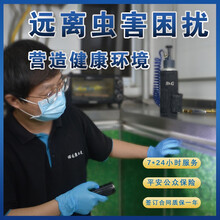 北京杀虫公司专业上门灭蟑螂捕鼠除老鼠蚂蚁跳蚤白蚁家庭灭虫灭鼠 （质保一年）宏宇洁 灭臭虫（质保一年）